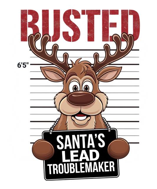 Christmas Busted 4